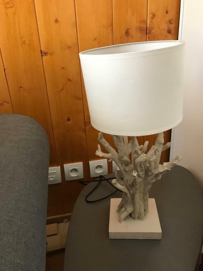 Appartement Tt Confort Au Coeur Des Montagnes Avec Vue Sur Les Montagnes Wifi Luz-Saint-Sauveur Exterior foto